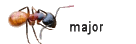 major major