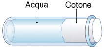 Provetta acqua